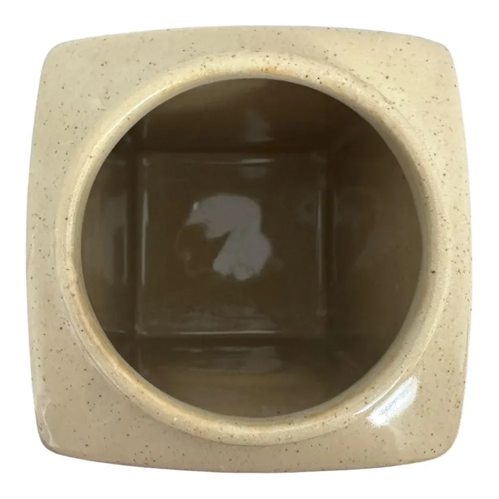 Pier 1 Imports India Rustic Beige Speckled Ceramic Canister